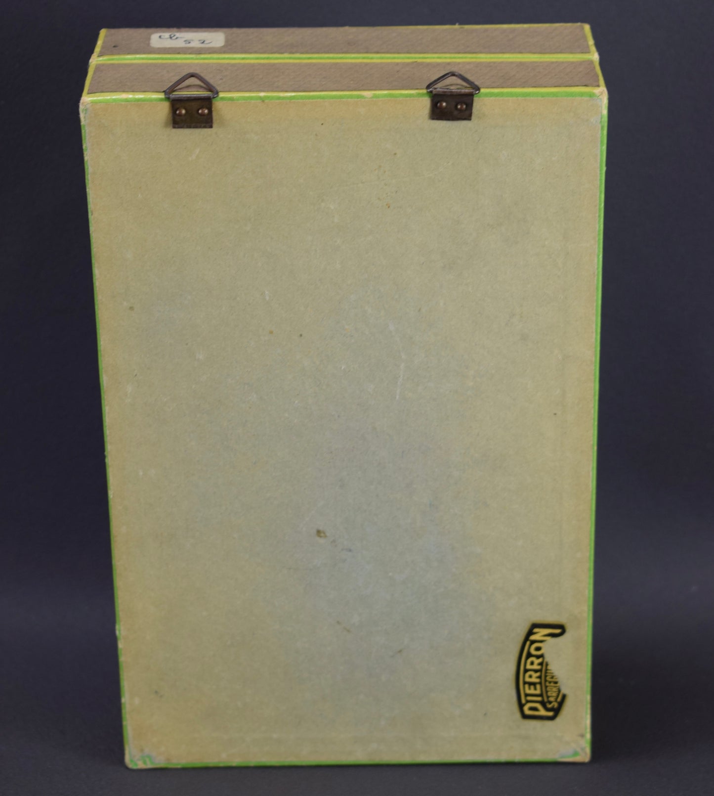 Taxidermie évolution libellule