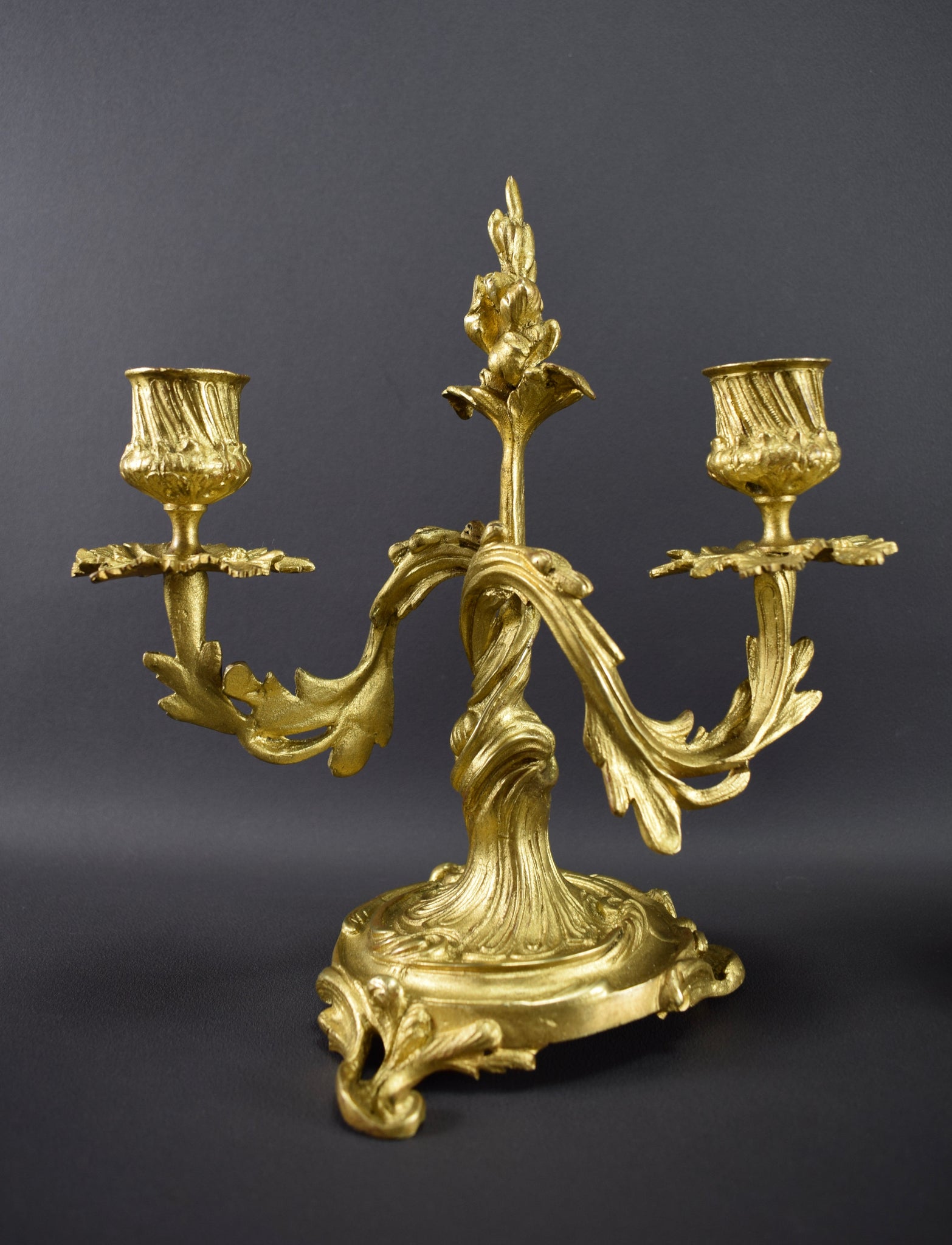 Pair of Louis XV gilt bronze rocaille candlesticks