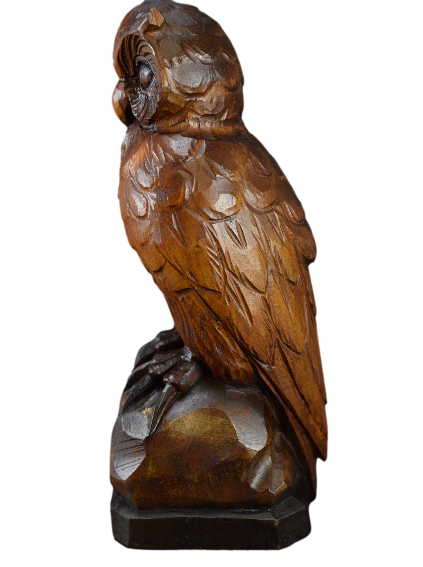 Black Forest Owl