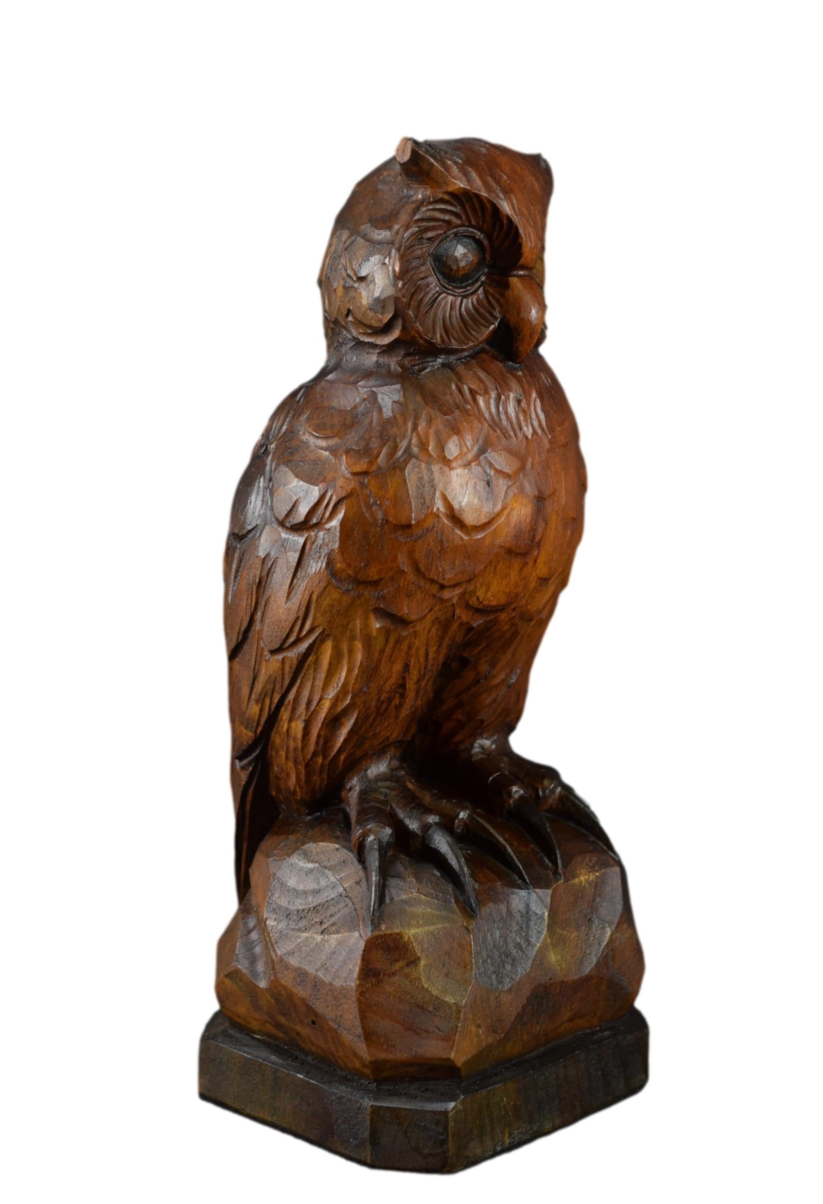 Black Forest Hand Carved Wood Owl Statue