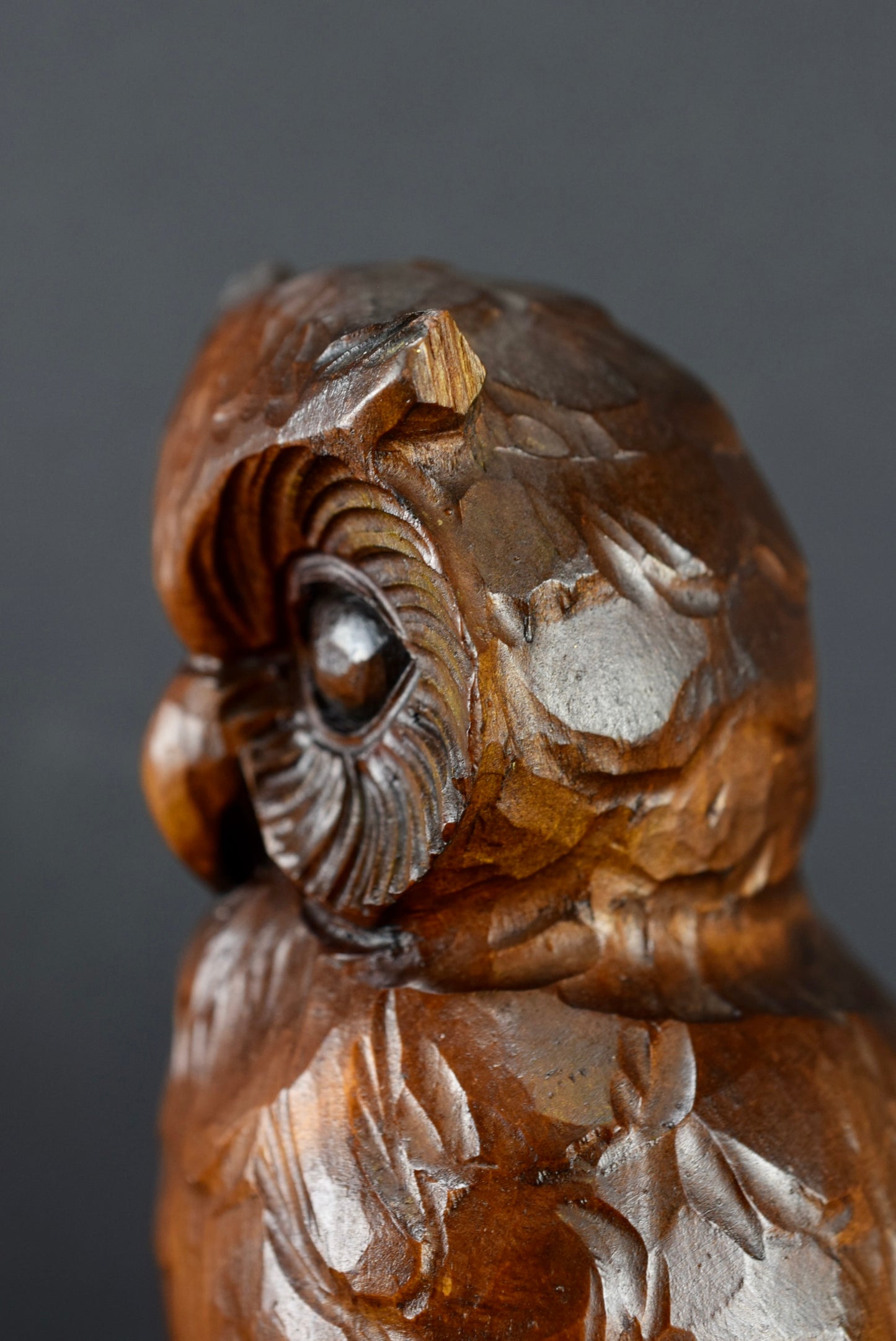 Black Forest Owl
