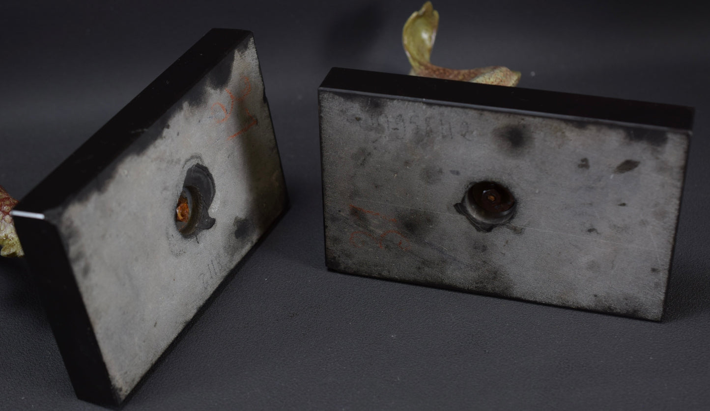 Dolphin Bookends