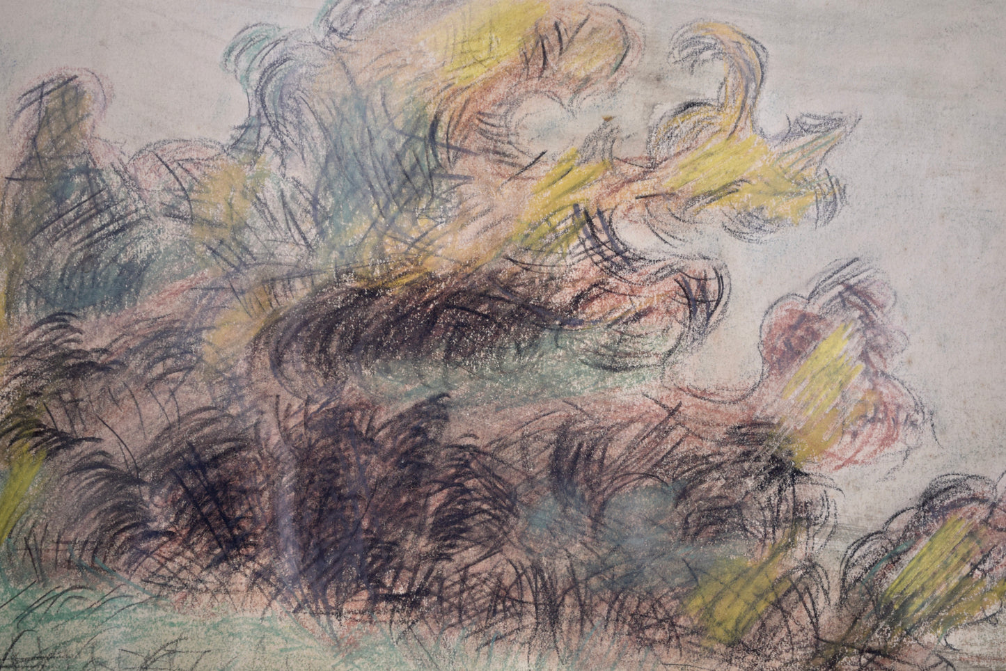 Portrait de chien de chasse pastel