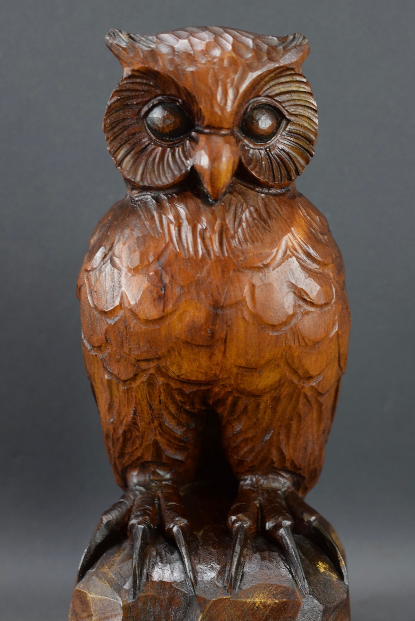 Black Forest Owl