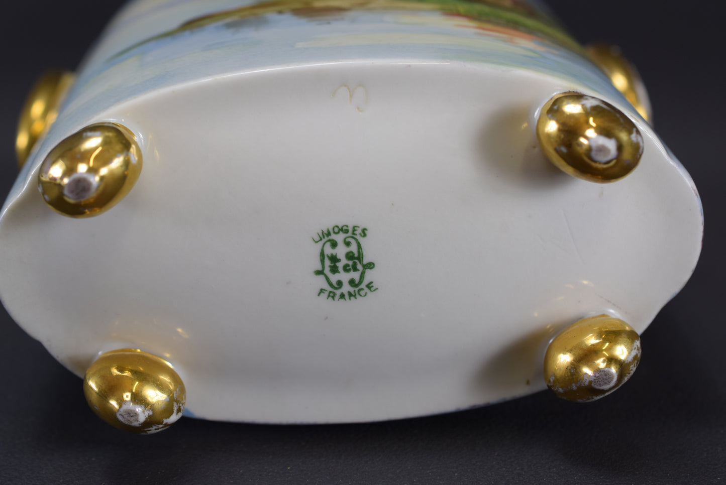Limoges Painted Vase