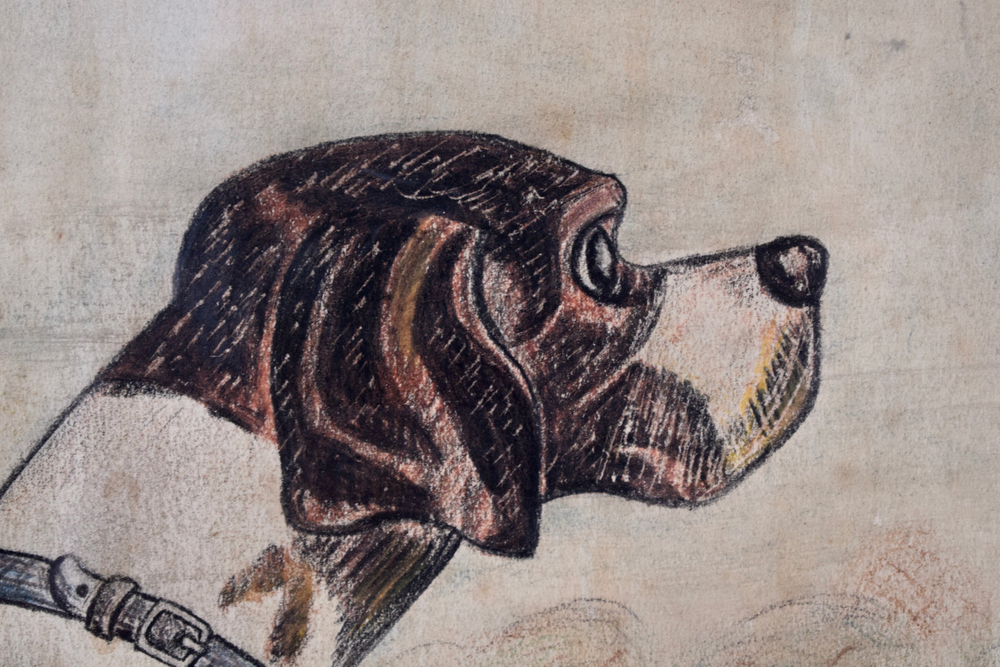 French Vintage Hunting  Dog Portrait Pastel Signed De Galoisy, Hunt Dog Wall Picture