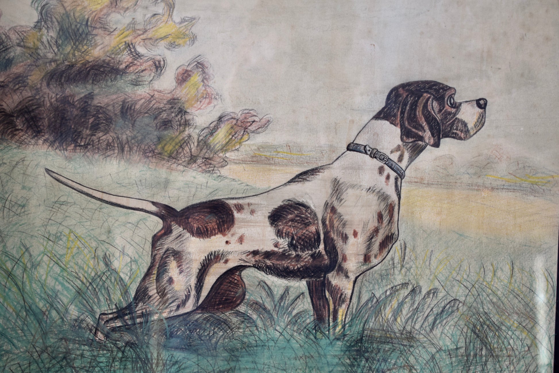 French Vintage Hunting  Dog Portrait Pastel Signed De Galoisy, Hunt Dog Wall Picture
