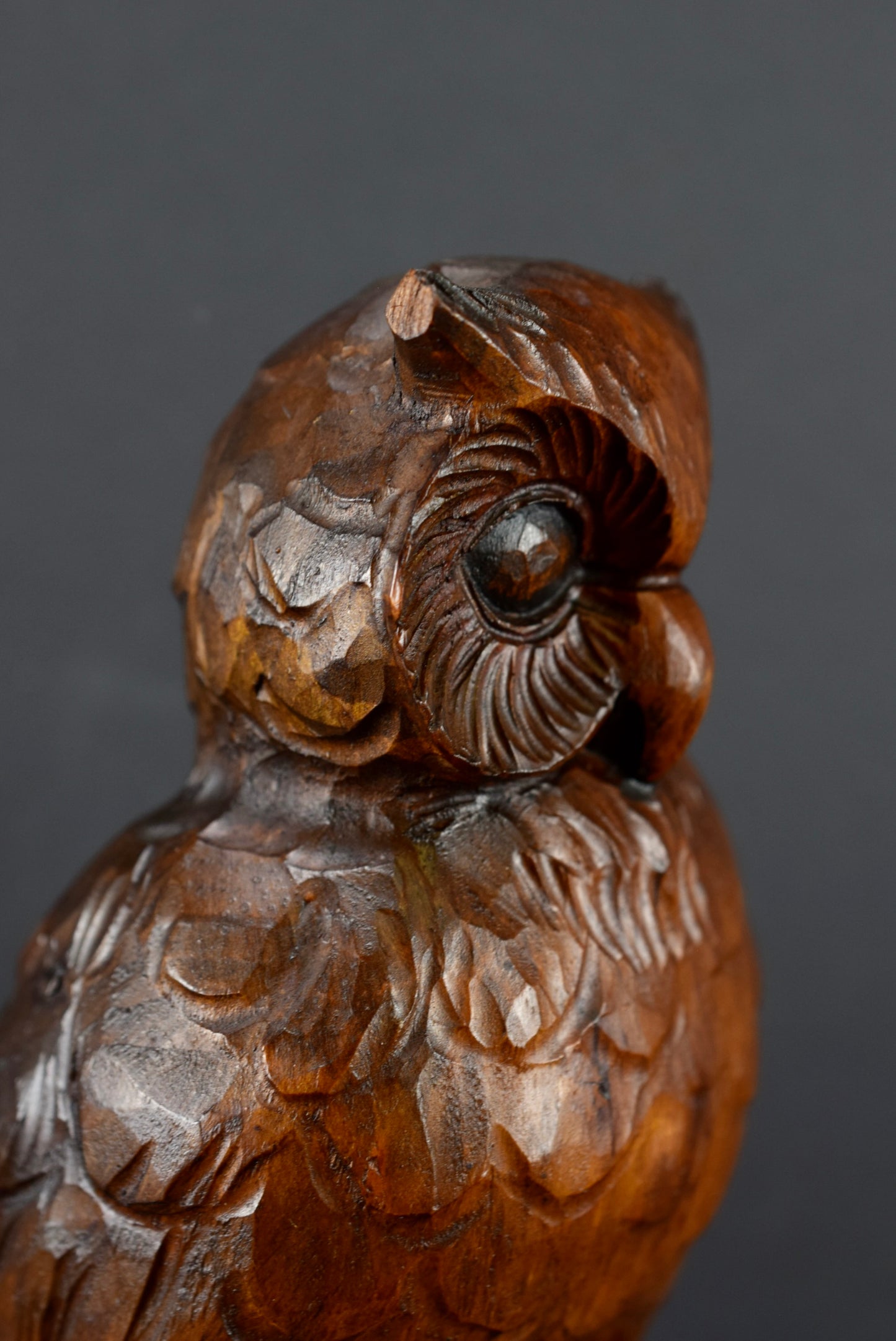 Black Forest Owl