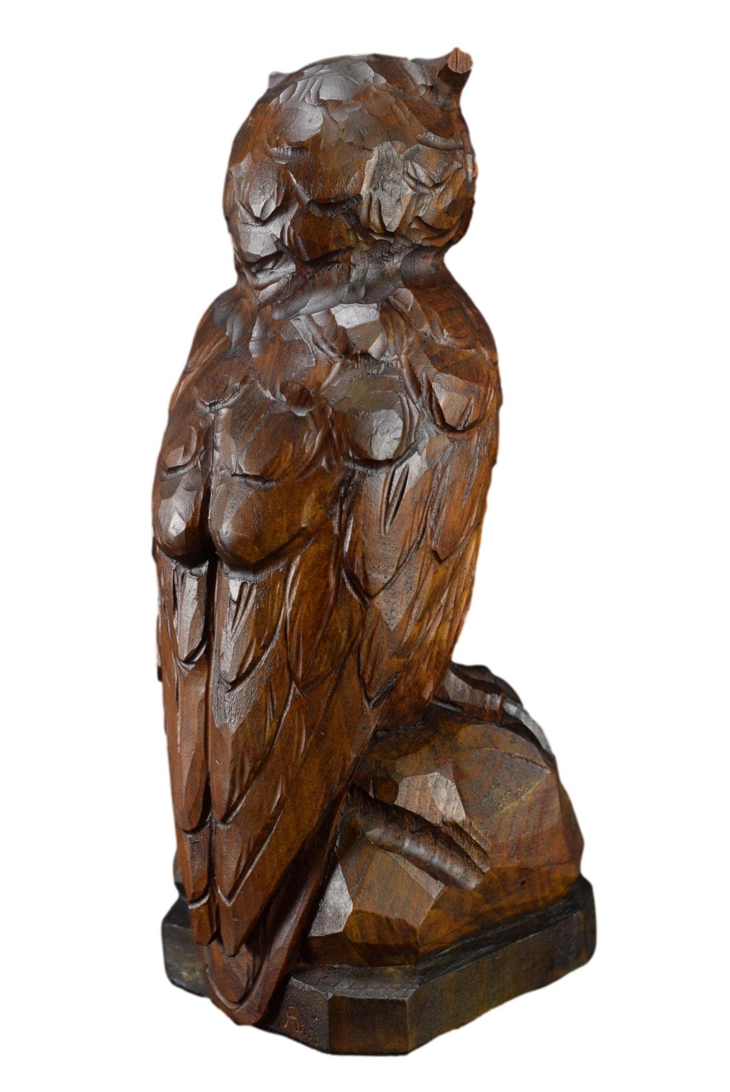 Black Forest Owl