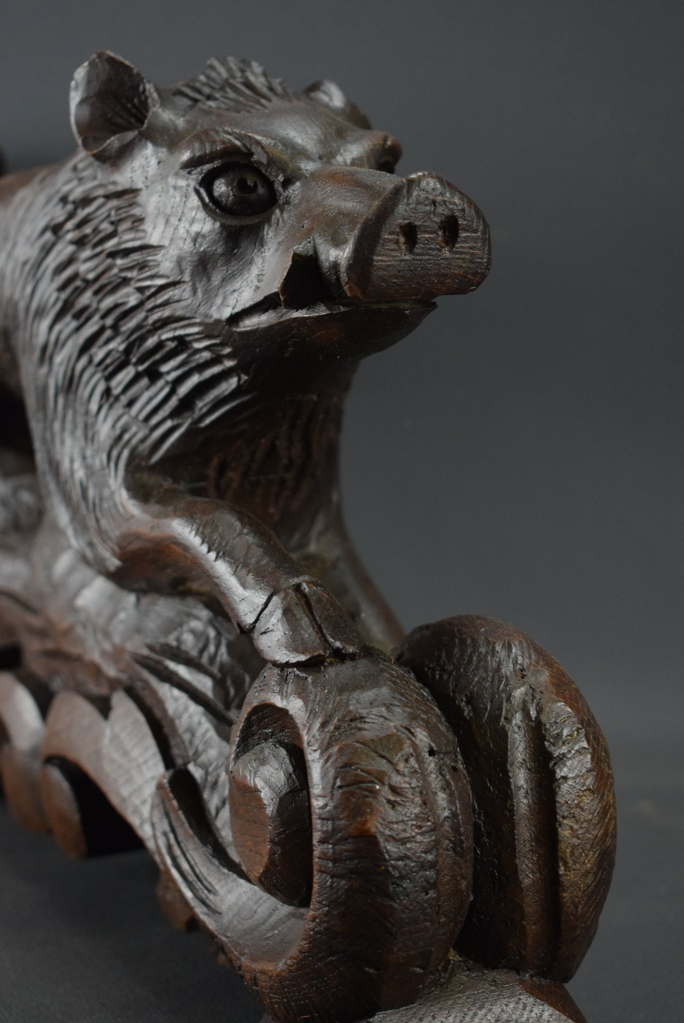 Black Forest Wild Boar Sculpture - Charmantiques