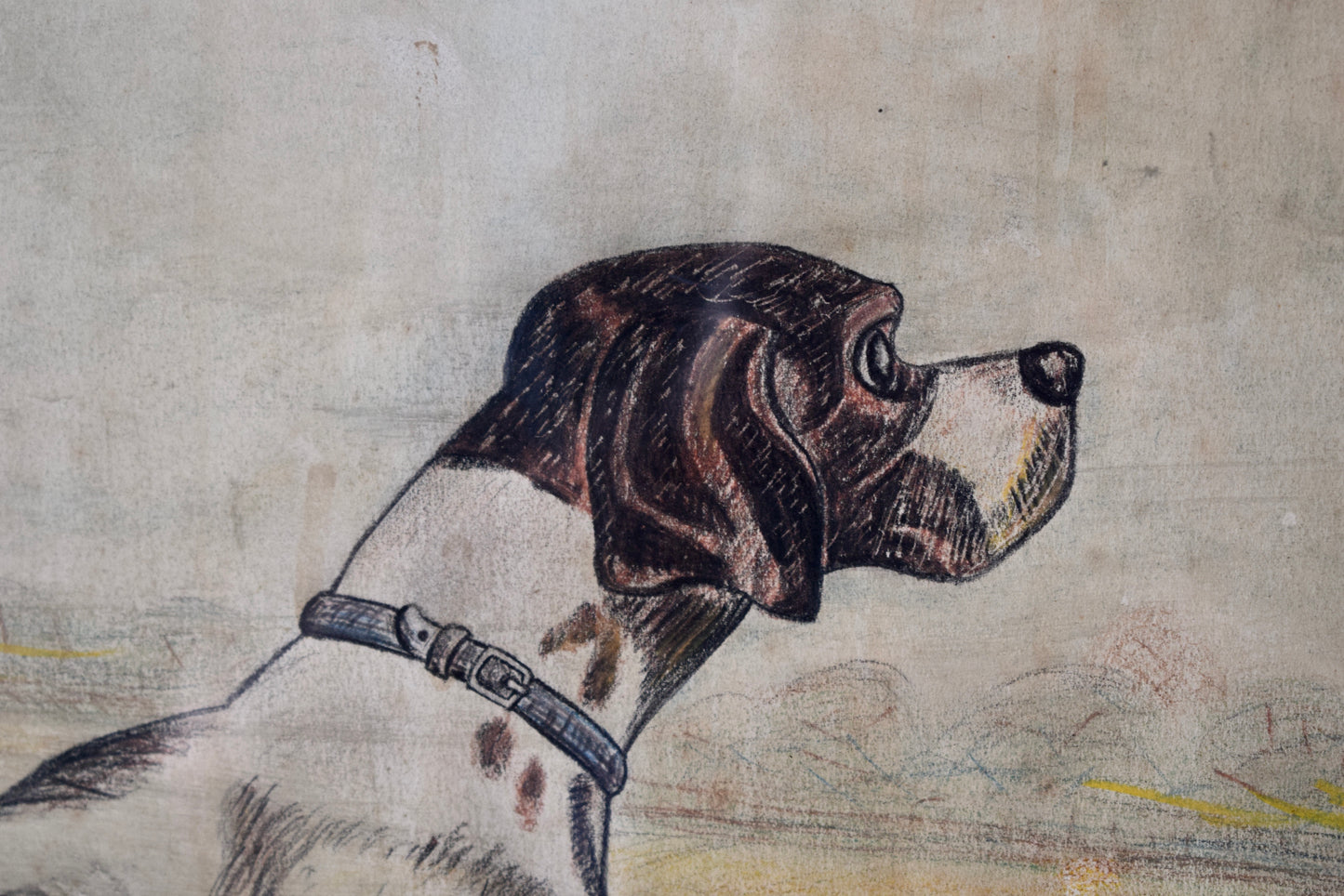 Portrait de chien de chasse pastel