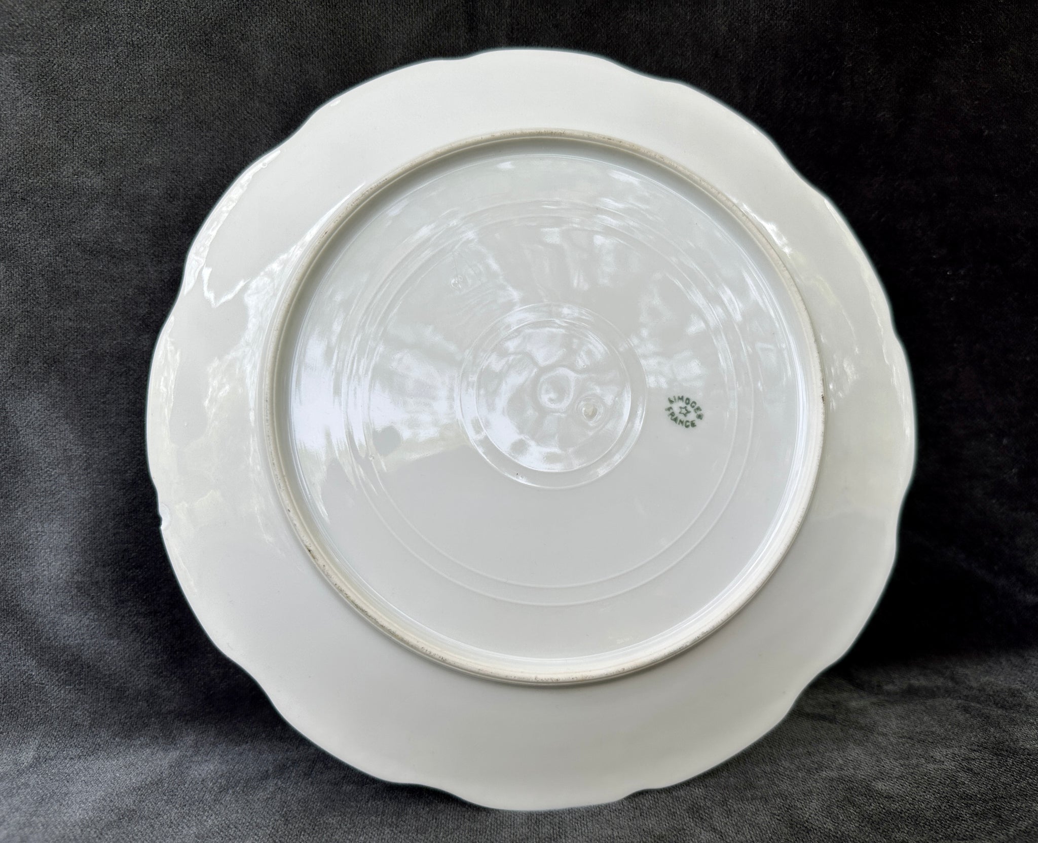 French Antique Limoges Porcelain Plate Fish 2