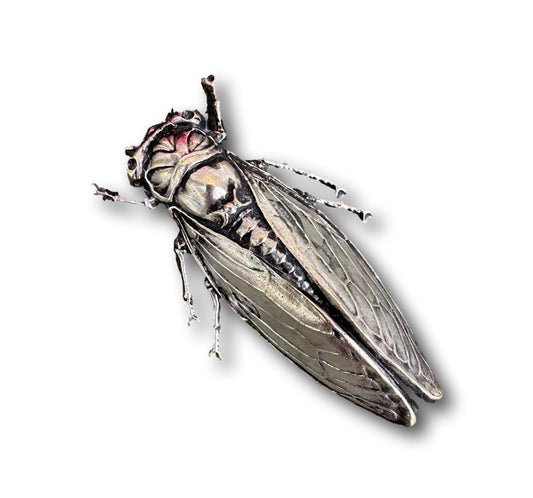 Cicada Brooch