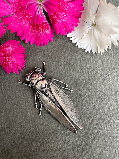 Cicada Brooch