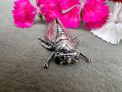 Cicada Brooch