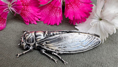 Cicada Brooch