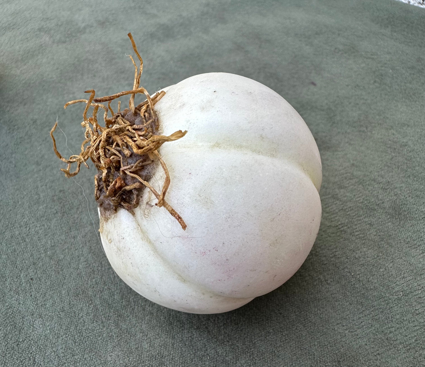 Italian Antique Marble of Carrara Fruits and Vegetables