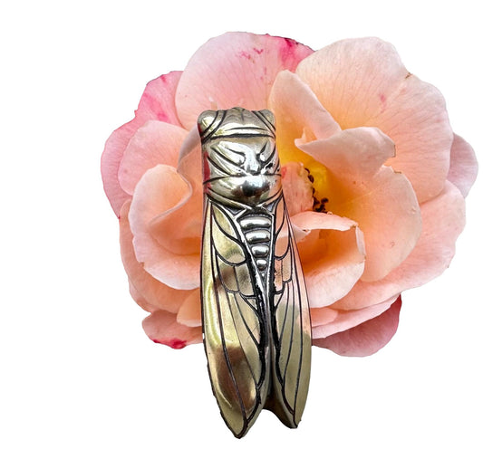 Cicada Brooch