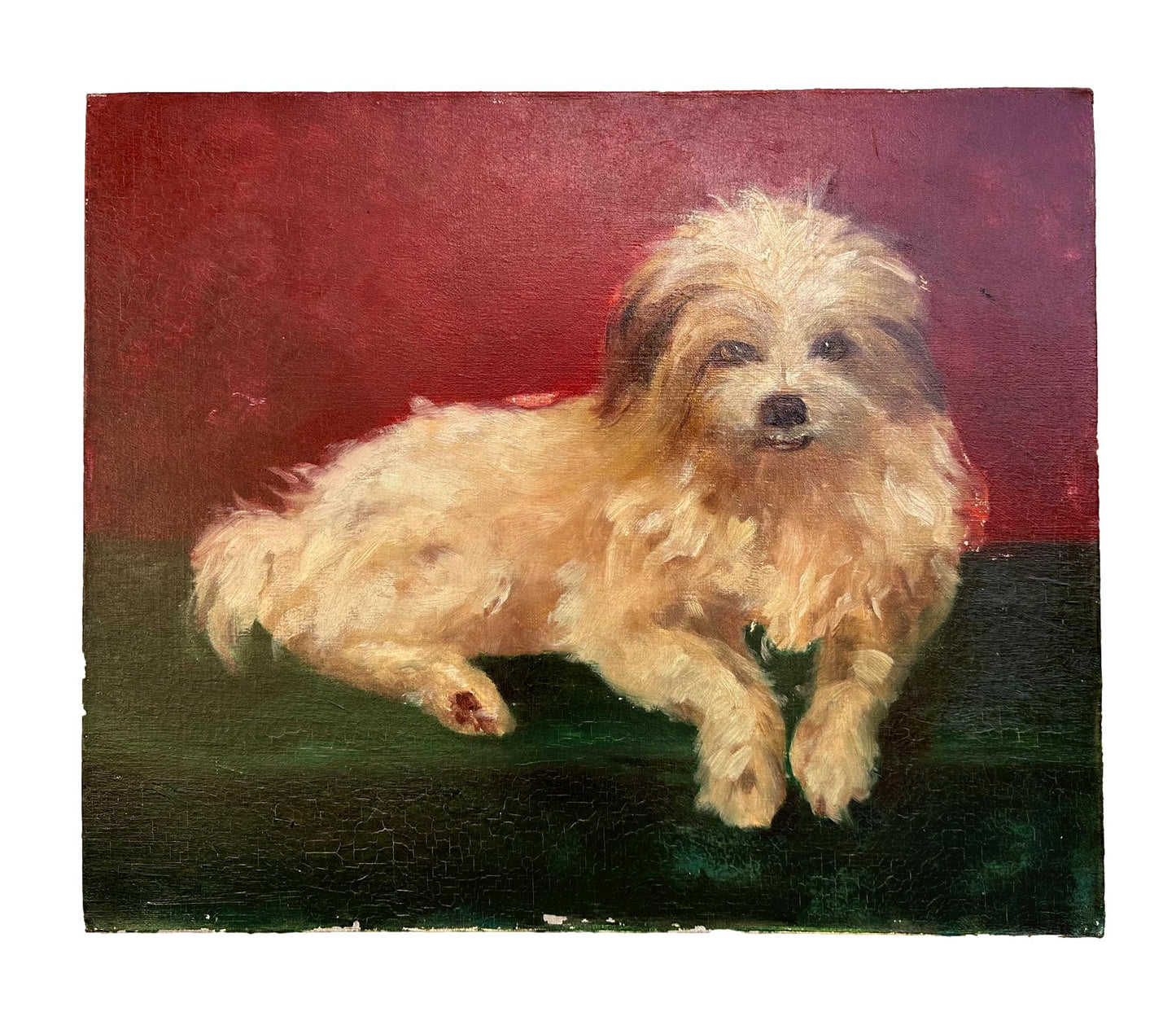 Dog Portrait Oil Painting