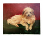 Dog Portrait Oil Painting