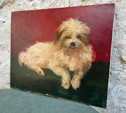 Dog Portrait Oil Painting