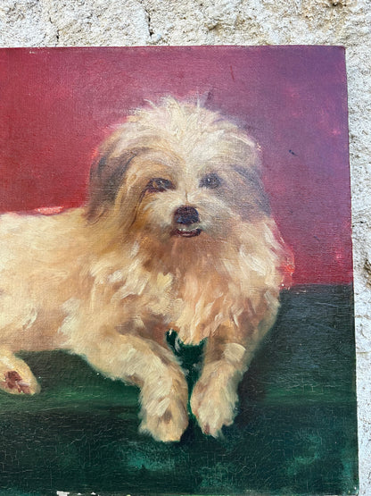 Dog Portrait Oil Painting