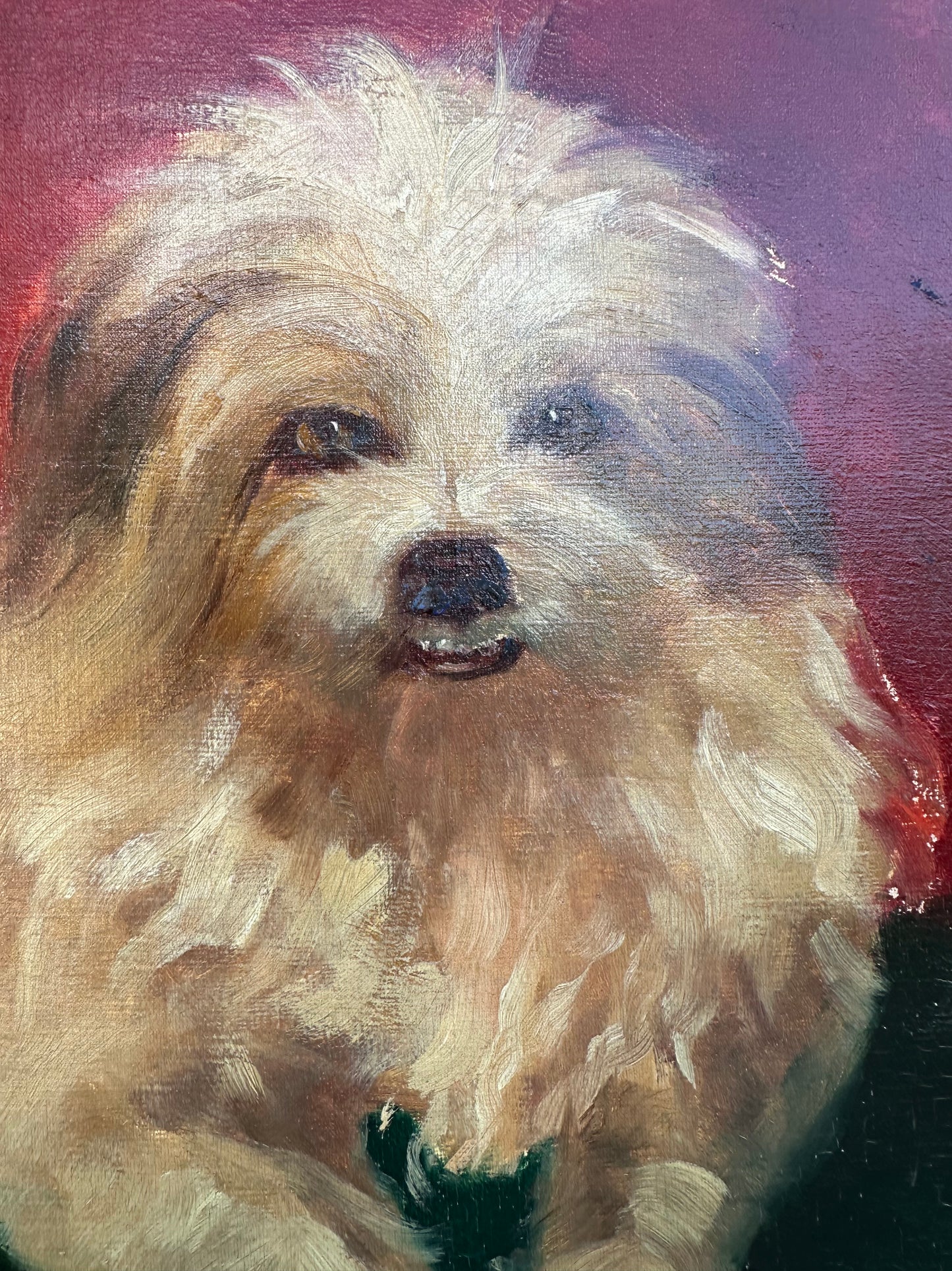 Dog Portrait Oil Painting