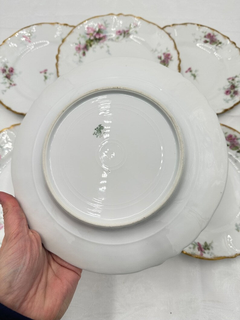 Limoges Porcelain Set of 6 Dessert Plates