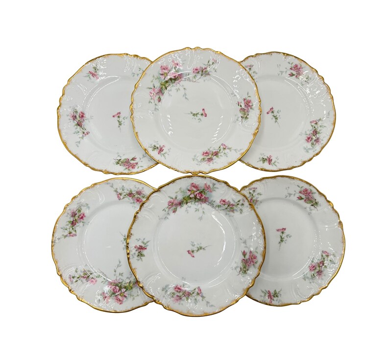 Limoges Porcelain Set of 6 Dessert Plates