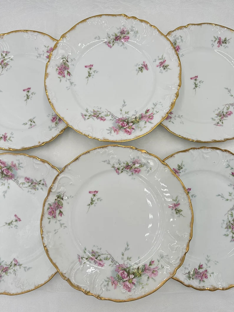 Set of 6 Limoges Porcelain Dinner Plates Pink Roses