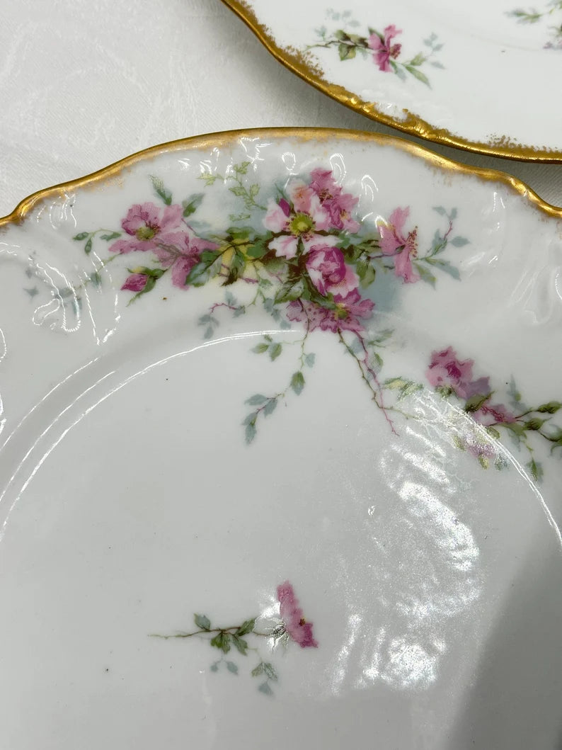 Set of 6 Limoges Porcelain Dinner Plates Pink Roses