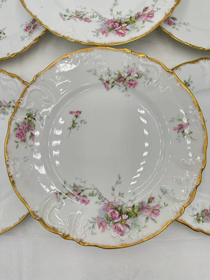 Set of 6 Limoges Porcelain Dinner Plates Pink Roses