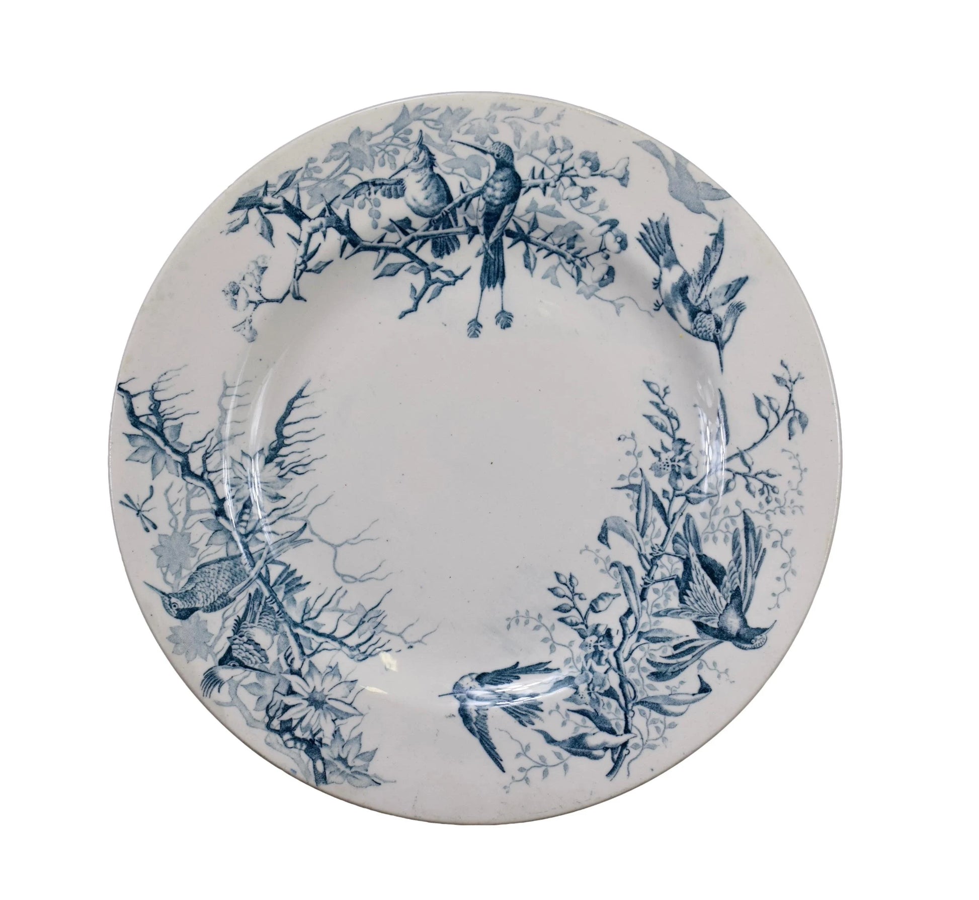 French Vintage Colibri Dinner Plate by Luneville