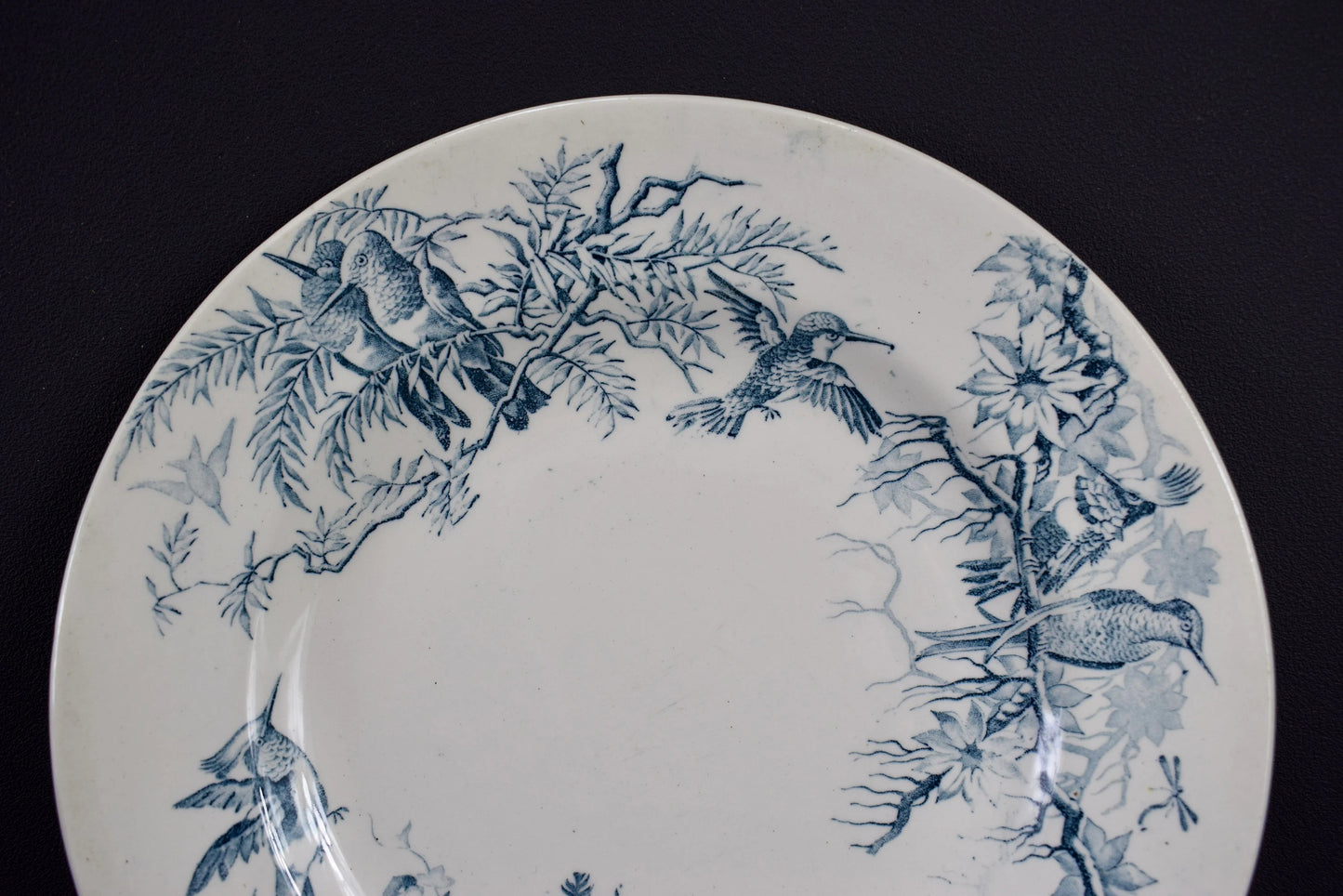 Colibri Dinner Plate by Luneville