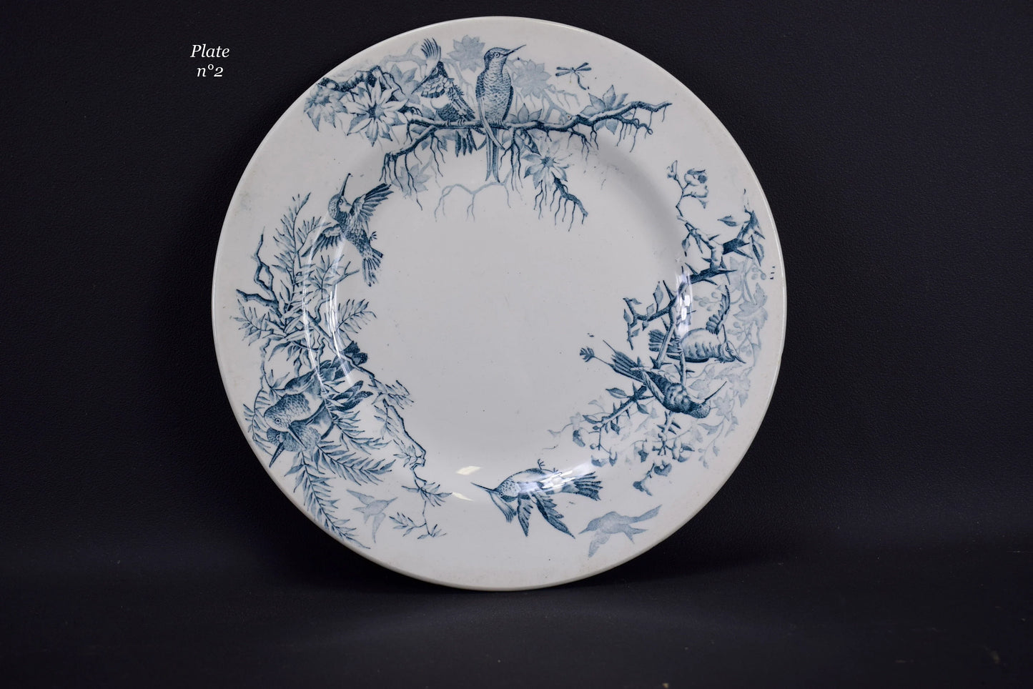 Colibri Dinner Plate by Luneville