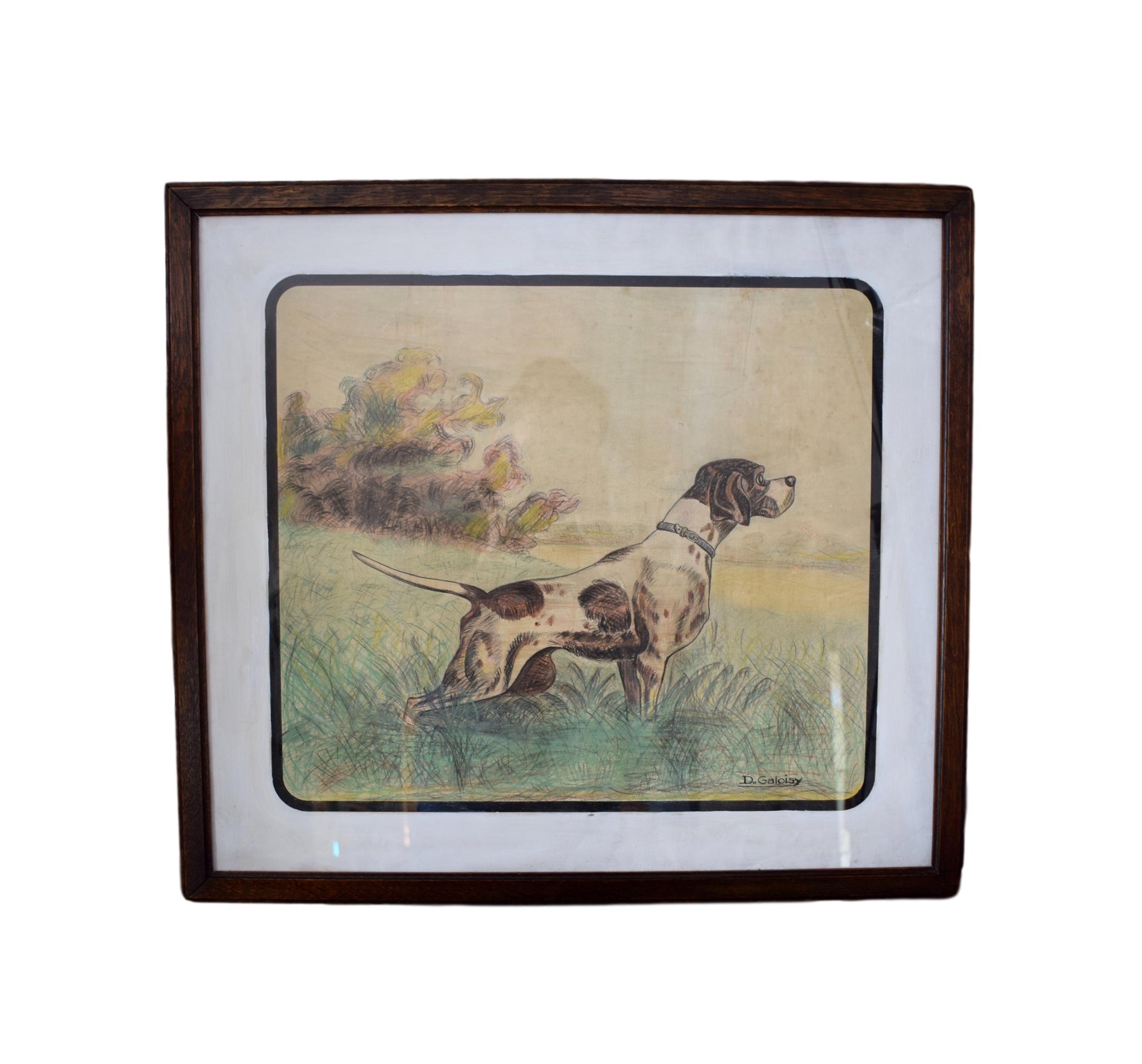 French Vintage Hunting  Dog Portrait Pastel Signed De Galoisy, Hunt Dog Wall Picture