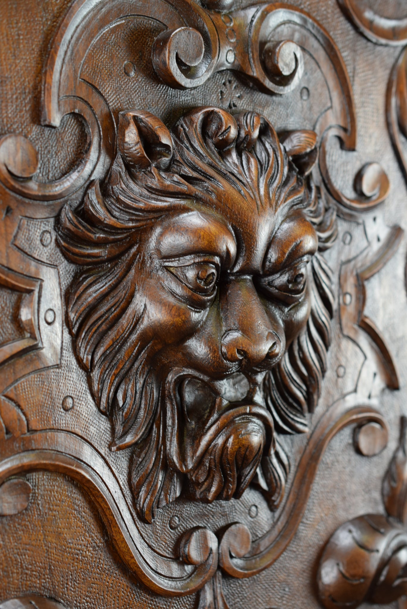 Lion Carved Wood Door