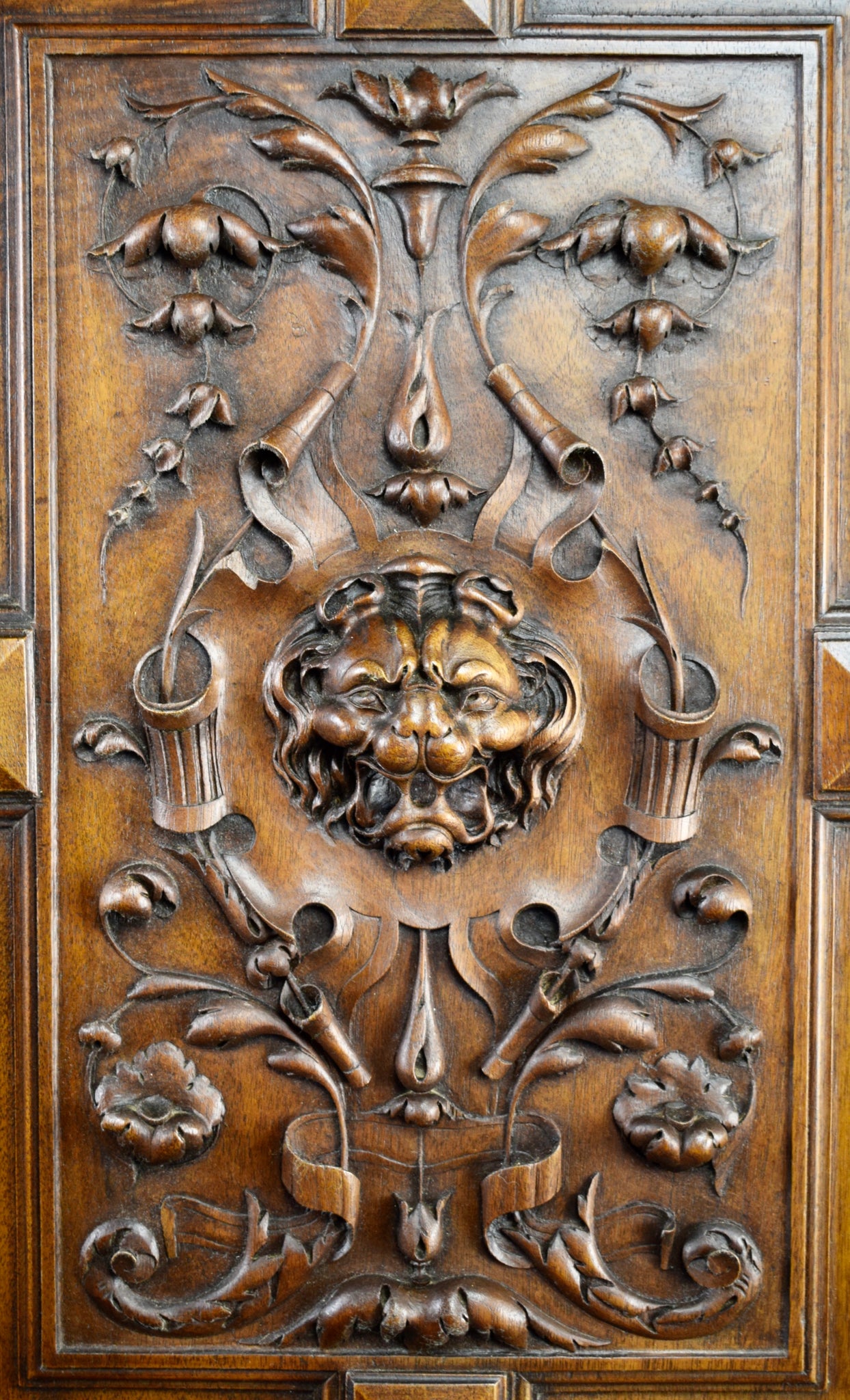French Antique Hand Carved Wood Cupboard / Closet Door - Lion head - 19th