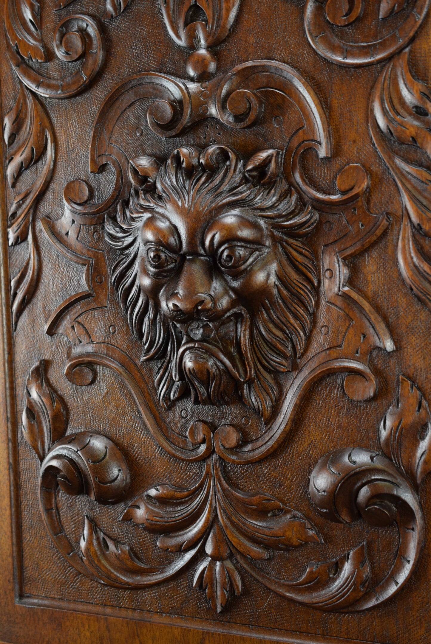 Porte En Bois Sculpté Lion