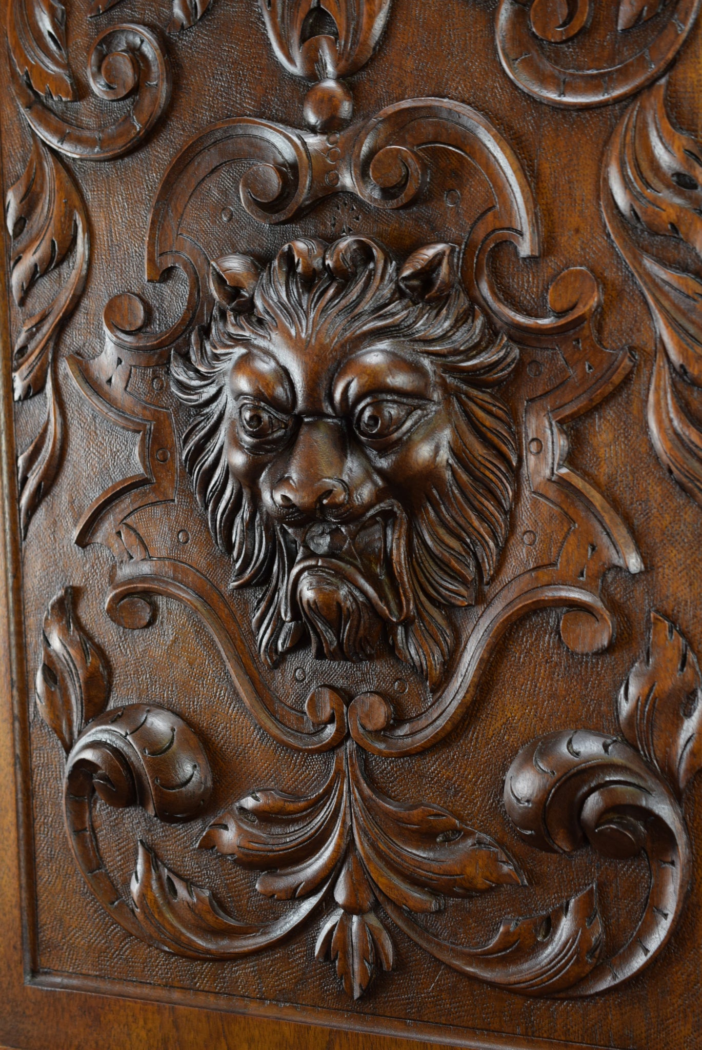 Lion Carved Wood Door