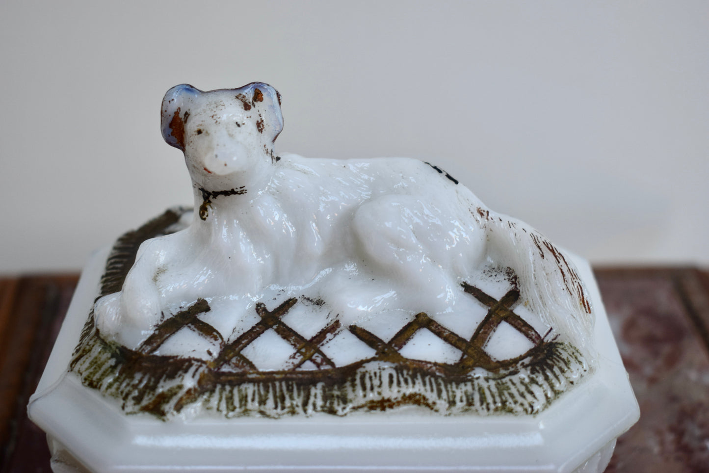 Boîte pour chien en verre de lait par Vallerysthal