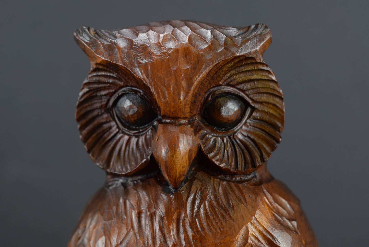 Black Forest Owl