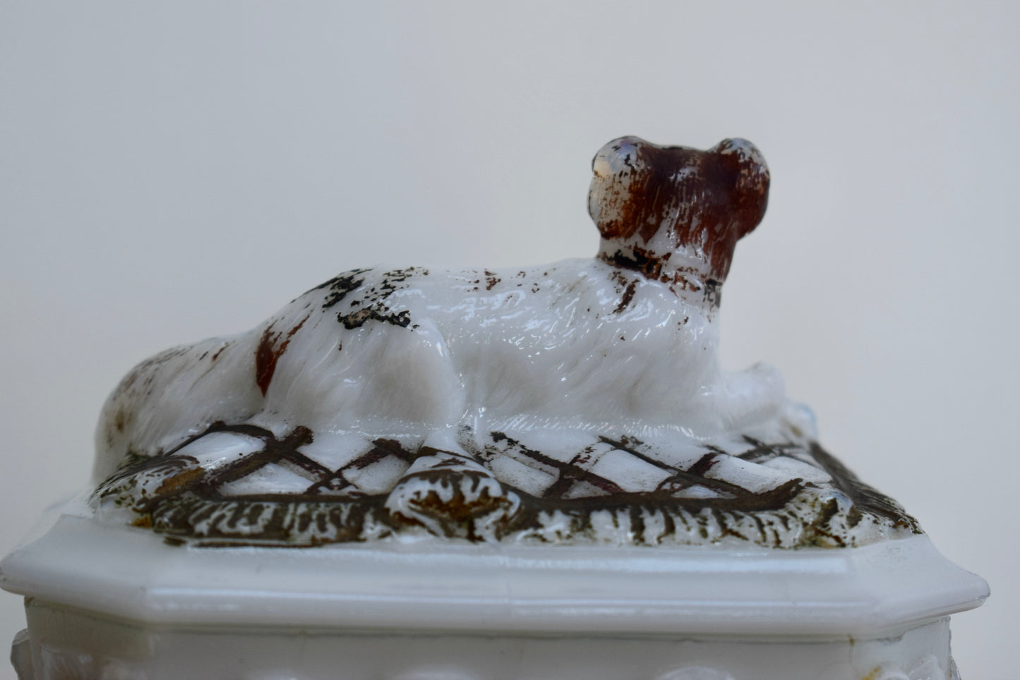 Boîte pour chien en verre de lait par Vallerysthal