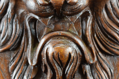 Porte En Bois Sculpté Lion