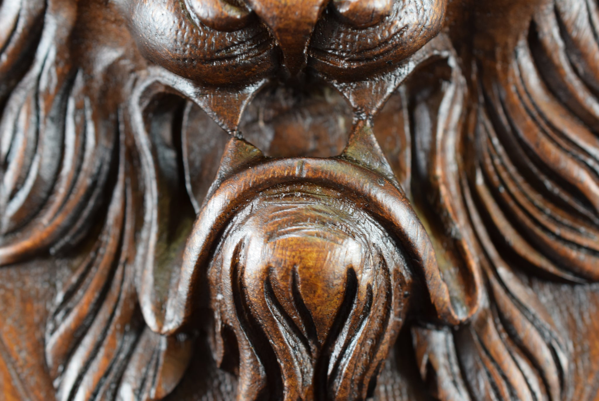 Lion Carved Wood Door