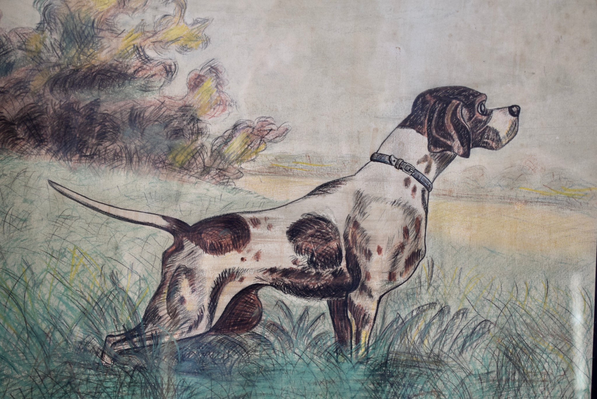 French Vintage Hunting  Dog Portrait Pastel Signed De Galoisy, Hunt Dog Wall Picture