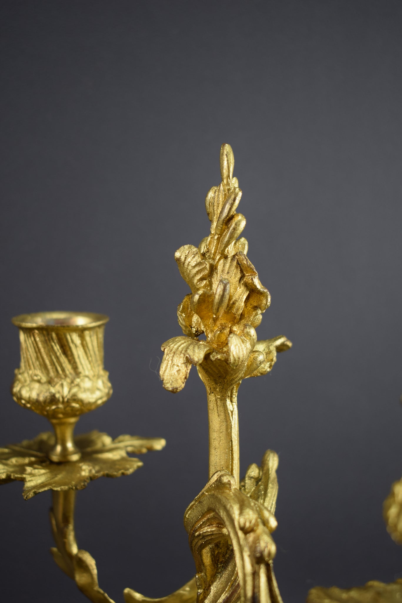 Pair of Louis XV gilt bronze rocaille candlesticks