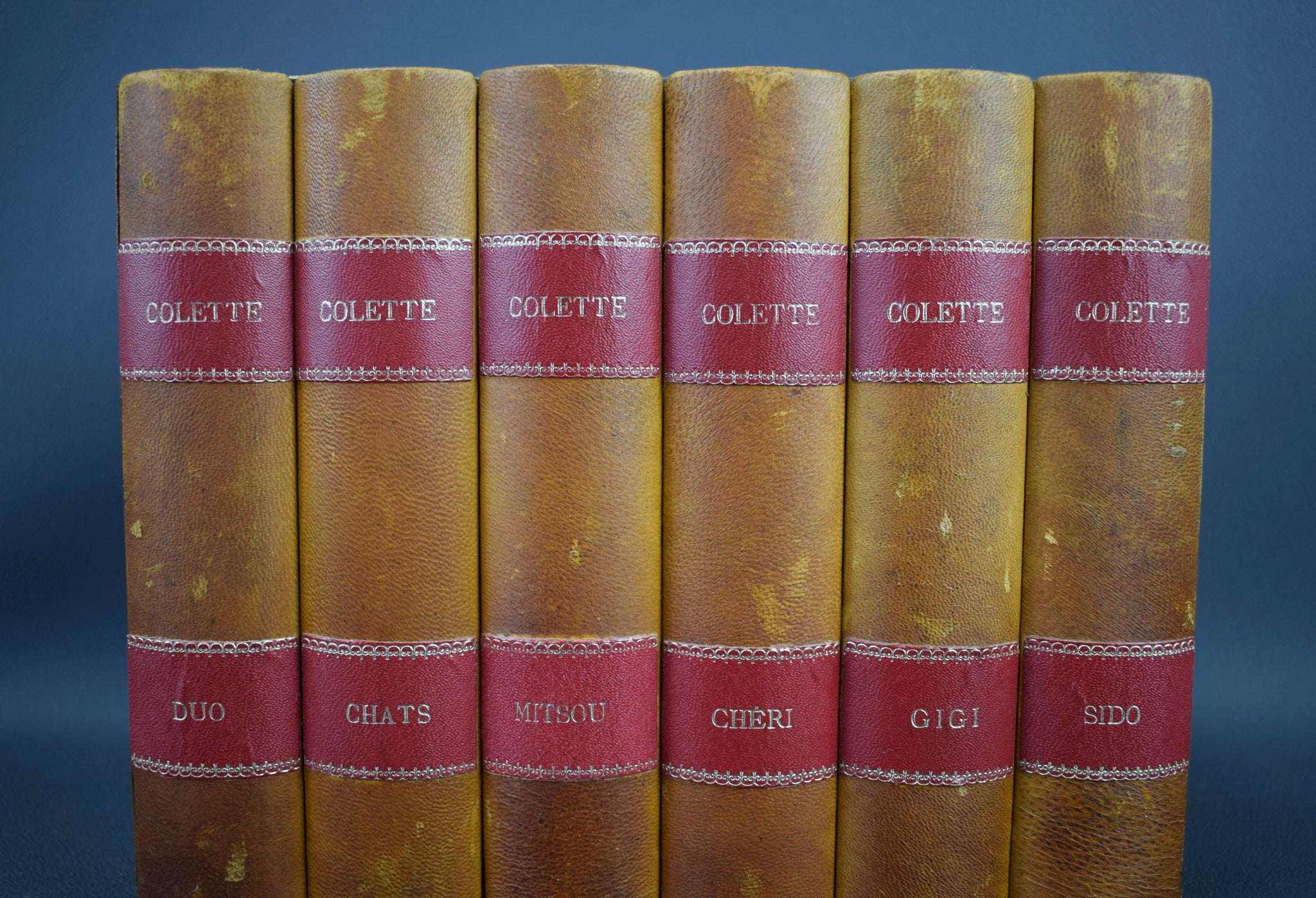 Faux Library Books Colette - Charmantiques