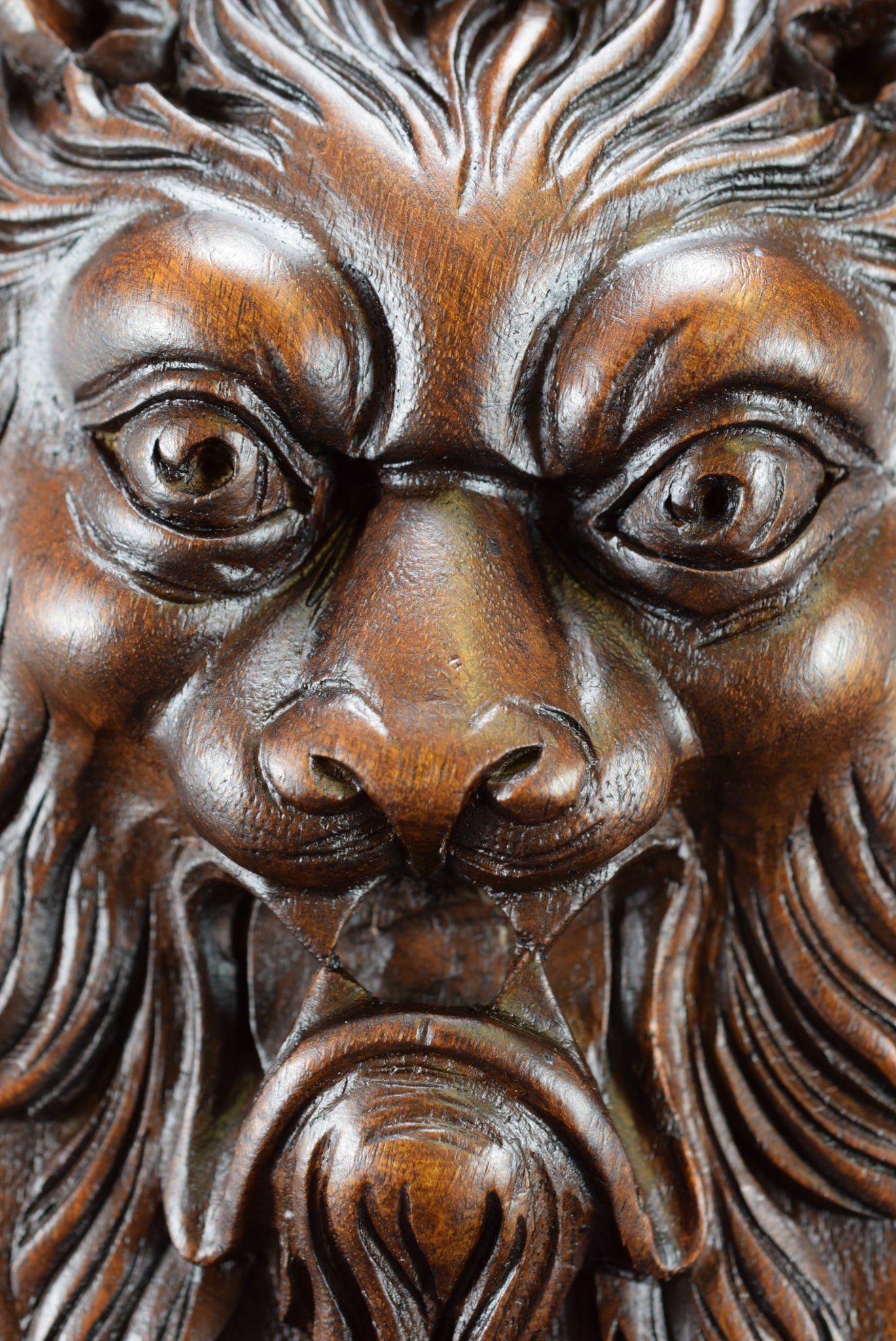 Lion Hand Carved Walnut Wood Door Panel