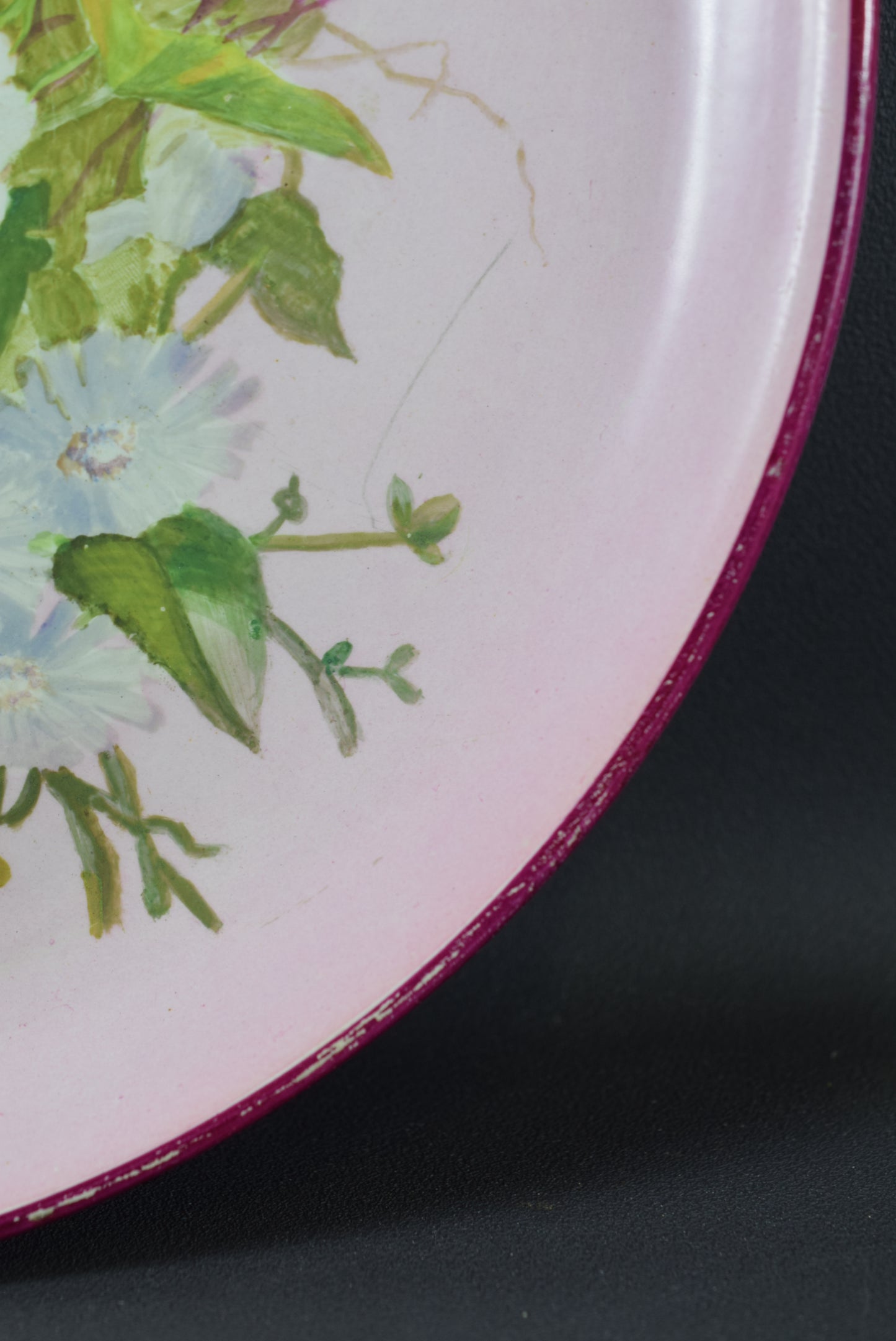 Bindweeds Painting Wall Plate